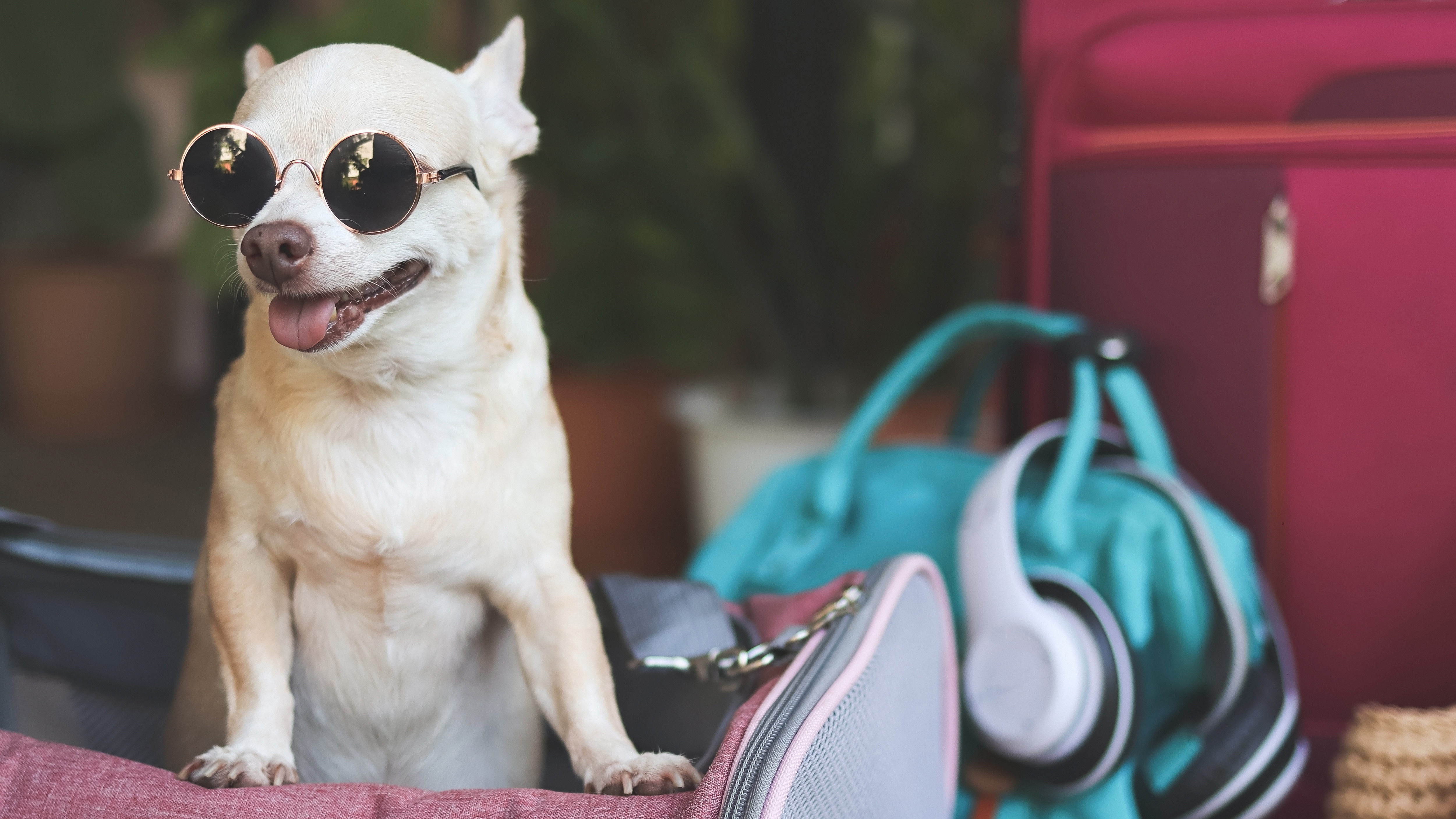 LinnellTaylorPR's tweet card. The top storylines in multifamily this week are rule enforcement, renter trust, remembering Bendix Anderson, the Otonomus Hotel and marketing metrics.