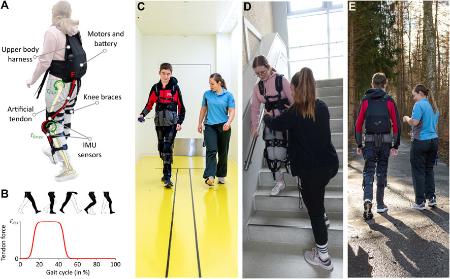 FrontRoboticsAI's tweet card. Introduction: Children and adolescents with neurological impairments face reduced participation and independence in daily life activities due to walking diff...