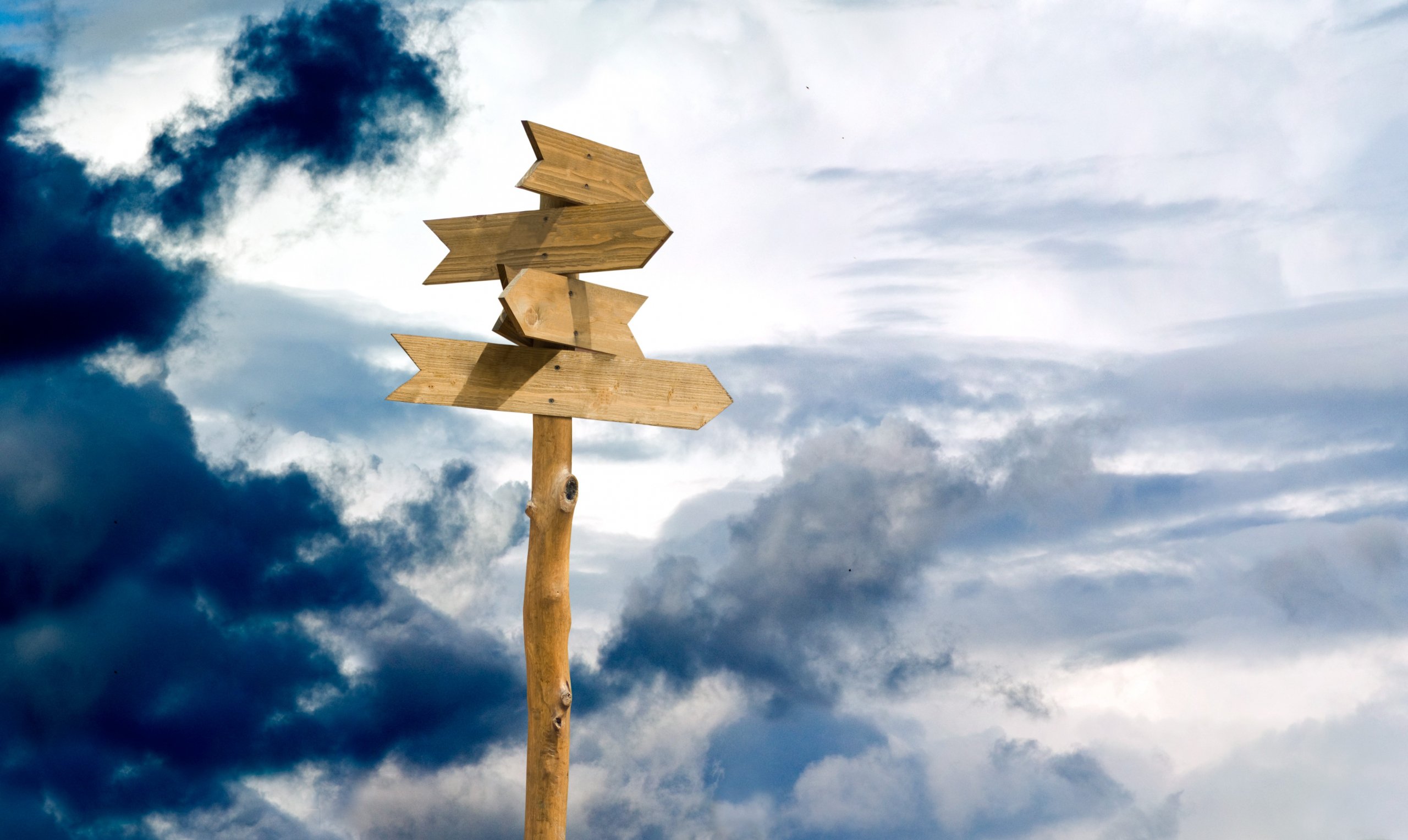 code_bootcamps's tweet card. Undergrad degree or bootcamp program? Compare the time commitment, curriculum, career outlook and cost of both types of educational paths!