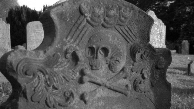 hackaday's tweet card. Each year around the end of October we feature plenty of Halloween-related projects, usually involving plastic skeletons and LED lights, or other fun tech for decorations to amuse kids. It’s …