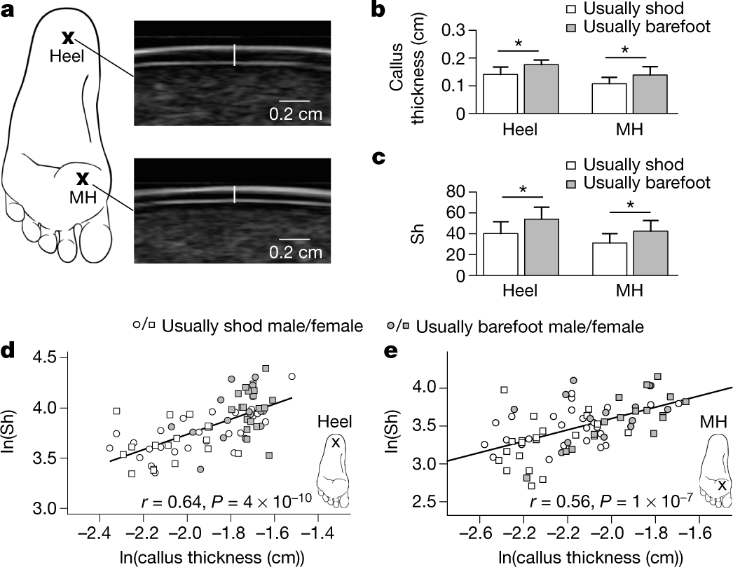 eecpod's tweet card. Nature - People who frequently walk barefoot have thicker and harder calluses than those who typically use footwear; however, in contrast to shoes, callus thickness does not trade-off protection...