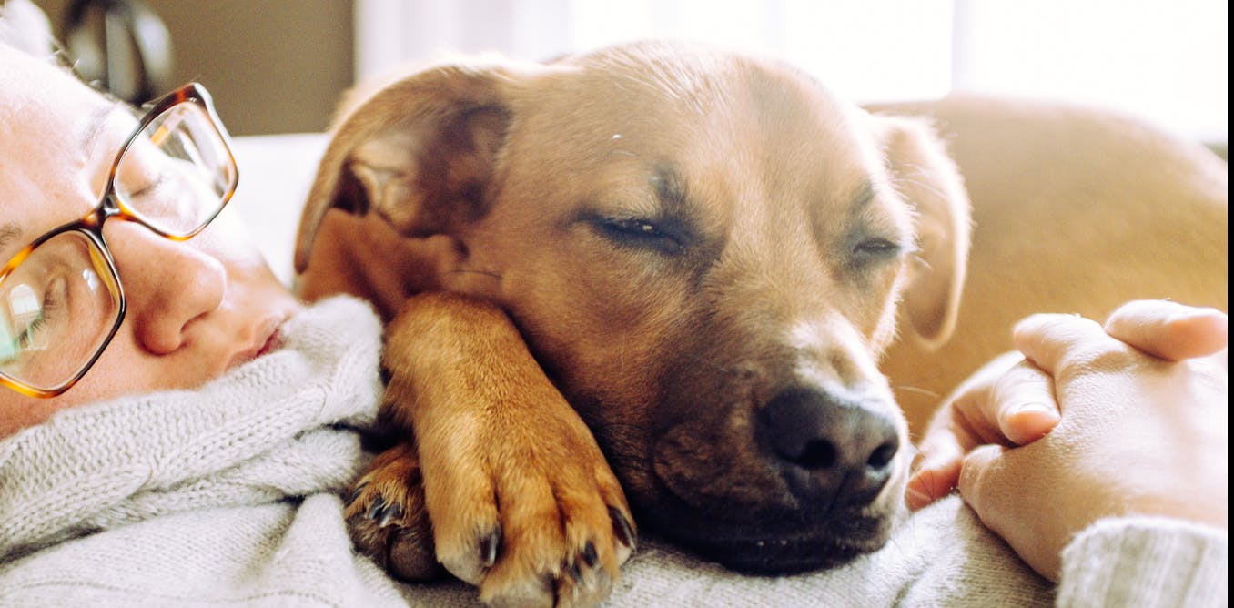 EntertechCN's tweet card. The benefits of naps are similar to those experienced after consuming caffeine, but without the side effects of caffeine dependence and possibly disrupted sleep at night time.