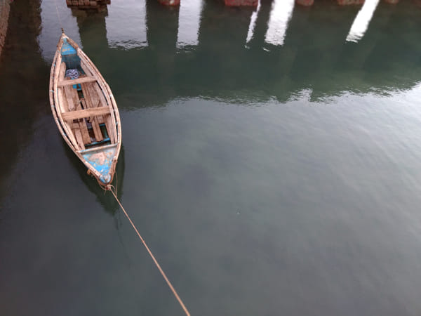 gauravdave01's tweet card. Discover the photo 'Waiting - Gujarat, Bharat' by Gaurav Dave on 500px. Explore more stunning photography and get inspired today.