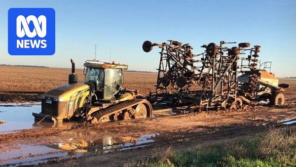 to_the_source's tweet card. Farmers in the state's central west have been unable to sow seeds, with record rainfall bogging machinery and drowning crops. 