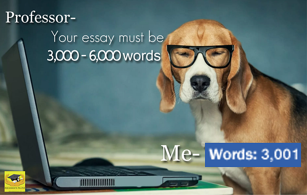 mycodingassign1's tweet card. You are currently working for a computer software company and have been assigned a project to design and develop a computer program, to…