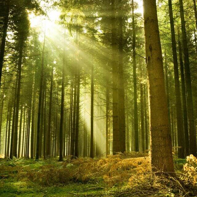 hypnodan's tweet card. By Dan Jones