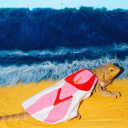 Tweet card summary image