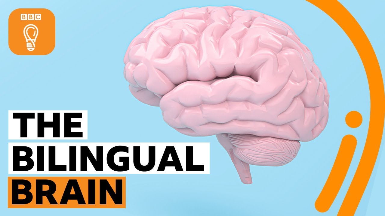 SciTechMatters's tweet card. Why being bilingual is good for your brain | BBC Ideas
