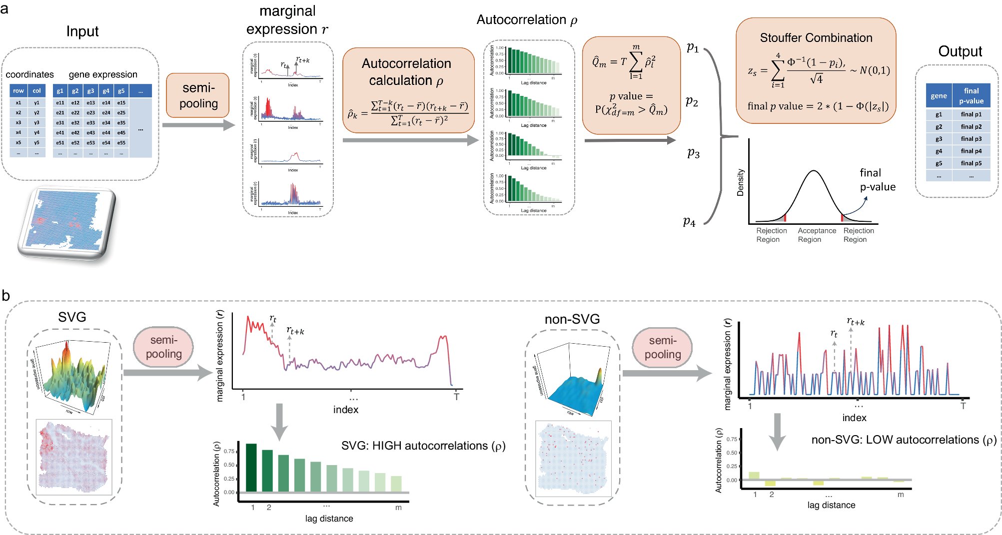 jsantoyo's tweet card. Nature Communications - The authors developed a computational method, HEARTSVG, which accurately identifies spatially variable genes in large-scale datasets, enhancing our understanding of tissue...
