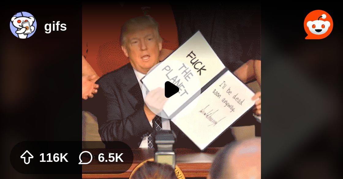 StudyGateInt's tweet card. Explore this post and more from the gifs community