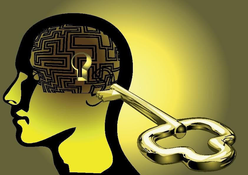 DrDianeHamilton's tweet card. Curiosity upgrades your brain's hardware and software to break free from outdated thinking. By engaging in curiosity, you rewire your brain for adaptability and growth.