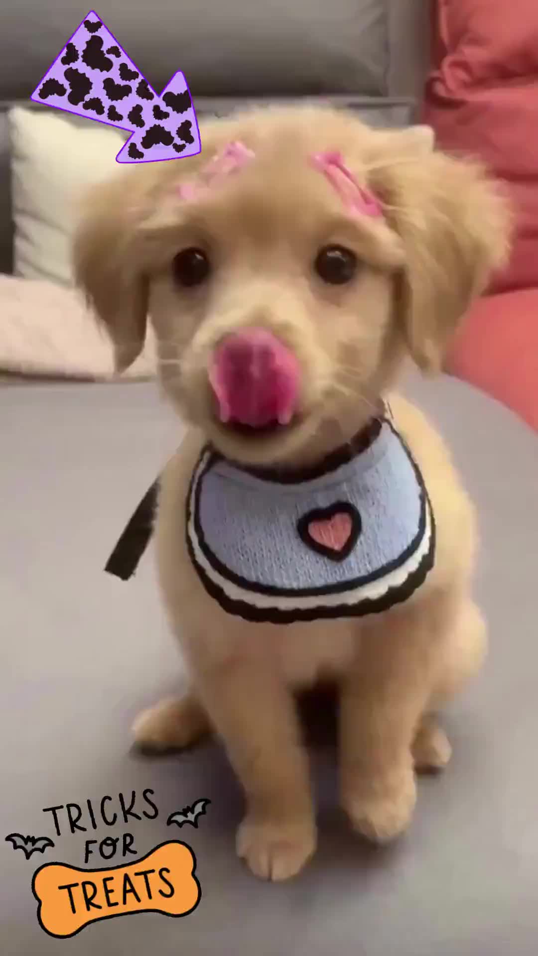 wupplesguitars's tweet card. 🐷 WUPPLES® – G...