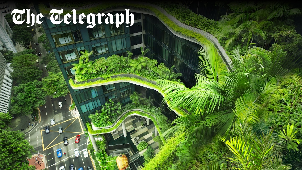 TeleGardening's tweet card. The trend for “green” eco-fantasy buildings is sweeping the world of architecture, with designers now integrating gardens, terraces and all manner of vertical planting in their specifications for...