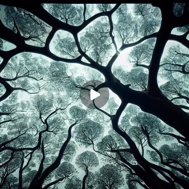 ks_visualdesign's tweet card. KS Art & Design (@ks.design.illustration) • Instagram reel