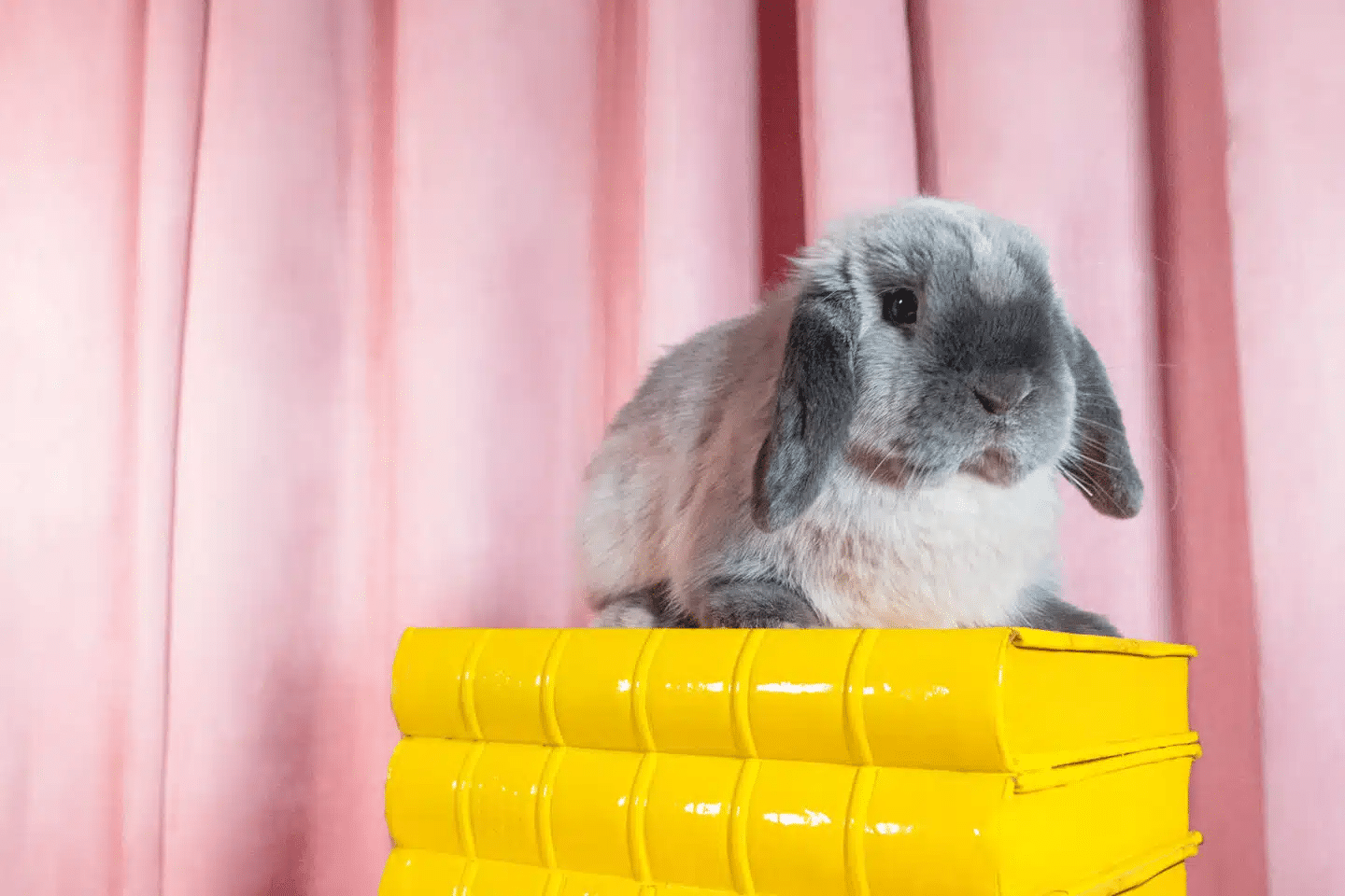 McManamonCPAs's tweet card. Whether you're leading sales teams, running your own business, or advancing in your career, we’d like to share six tips to help you survive and thrive in 2025.