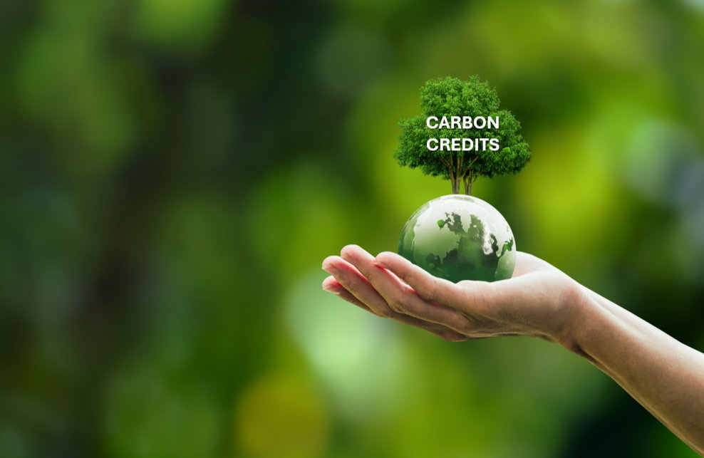 GeoTerra_Image's tweet card. Revolutionizing Carbon Inventory Projects: GTI's On-Demand Supply of Standardized Vegetation...