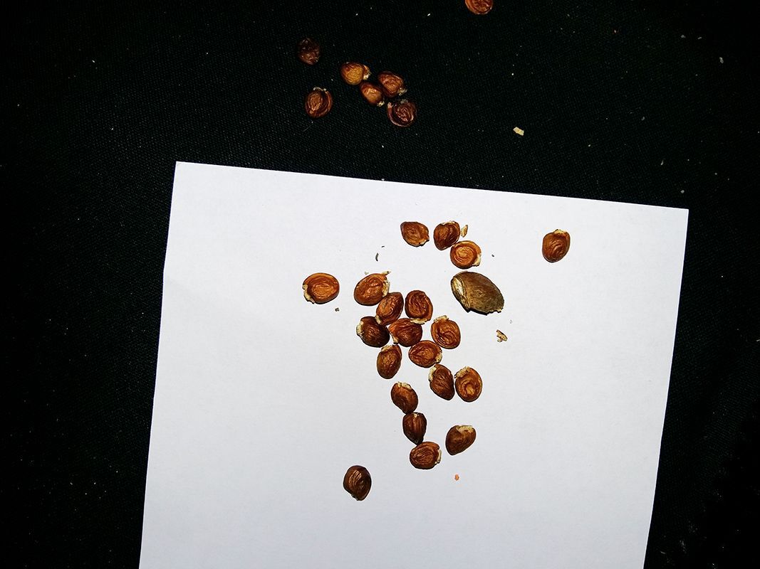 cottagelife's tweet card. You asked. We answered!