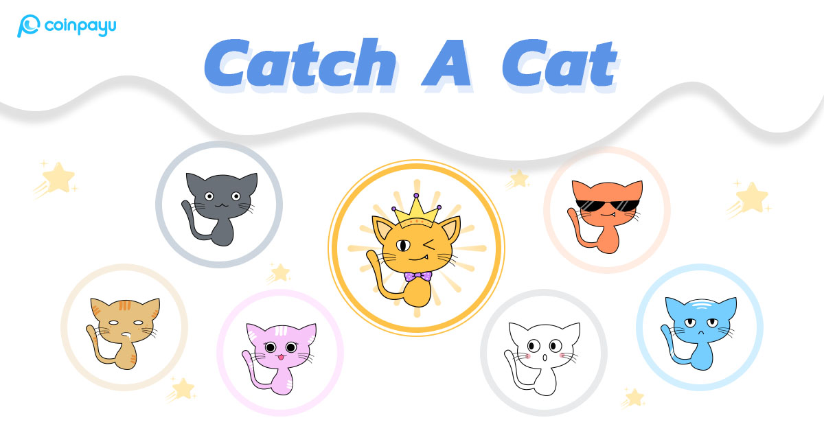 hamdani_kamel7's tweet card. Promote your crypto business to real bitcoin users worldwide.