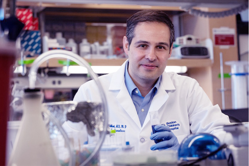 DEF_Lab_HMS's tweet card. Researchers and parents collaborate to find a possible solution for a rare form of hereditary spastic paraplegia.