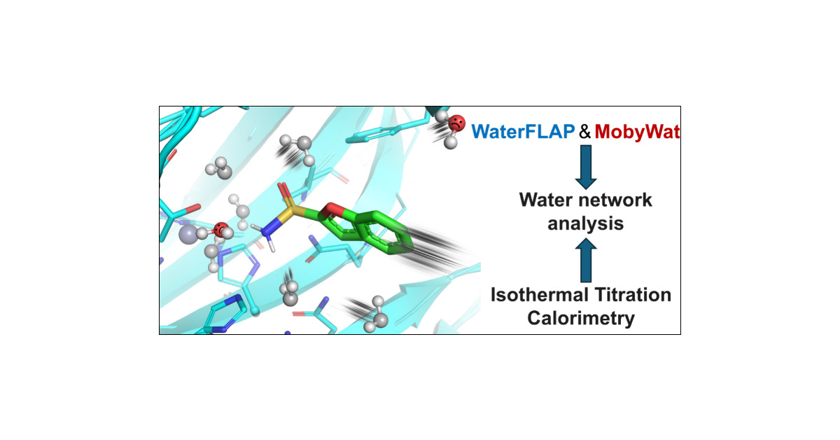 JCIM_JCTC's tweet card. Rational drug design focuses on the explanation and prediction of complex formation between therapeutic targets and small-molecule ligands. As a third and often overlooked interacting partner, water...