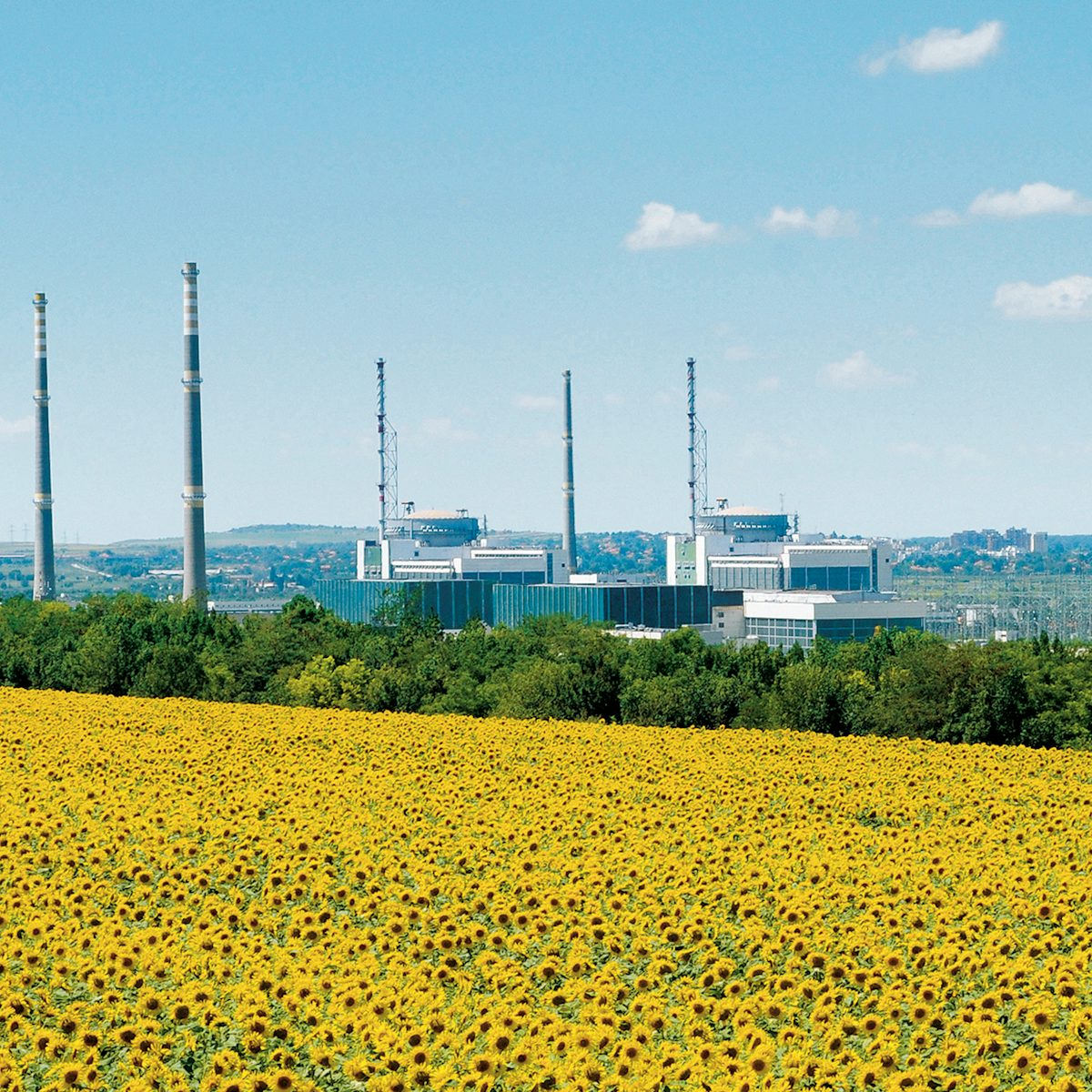 NucNetNews's tweet card. Project was put on hold pending foreign aid review by Washington