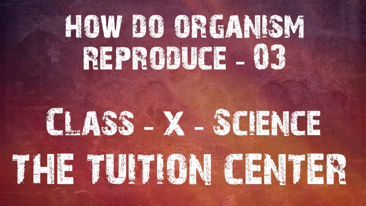 tTcEduTech's tweet card. CBSE Class 10 Science || How do Organism Reproduce – 3 || Sexual...