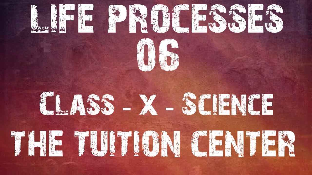 tTcEduTech's tweet card. CBSE Class 10 Science || Life Processes - 6 || Excretion