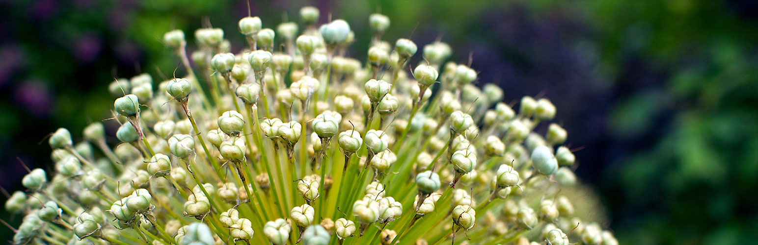 austinc3301's tweet card. Manage 301 redirects, track 404 errors, and improve your site. No knowledge of Apache or Nginx required.