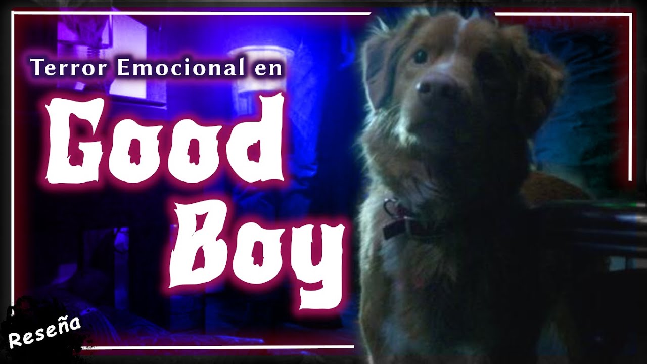 im_not_a_robotb's tweet card. GOOD BOY 🐕 El horror de la soledad y la muerte explicado con...