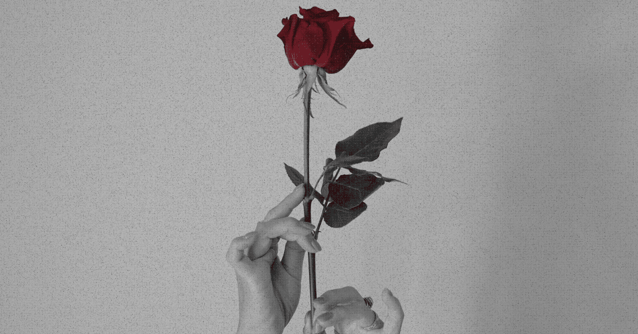 aveli_connect's tweet card. 【はじめに】 10月24日、5作目のシングル『Chapter』をリリースしました。 今回は、ジャズピアニストの片倉真由子さんを客演に迎え、Aveliとして初めてピアノの生演奏が加わった作品です。 今日は、この曲に込めた想いや、制作の背景について書いていきます。 『誰かのために、自分の人生を妥協するのをやめよう』 ぜひ最後まで読んでくれたら嬉しいです。 【思うように進まなかった日々から生まれた...