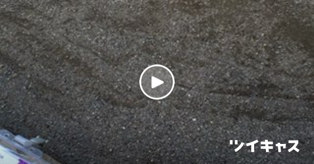 Protractor_man's tweet card. 分度器同好会総会始まりました #分度器同好会総会