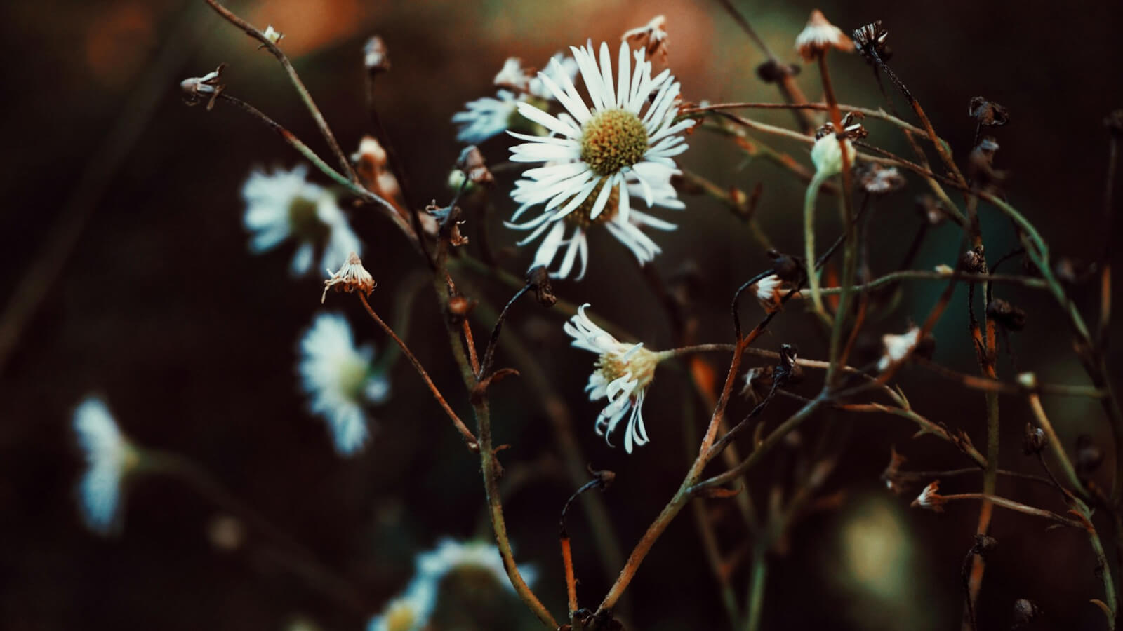 remixtures's tweet card. Investing in developer-friendly tools and services is not just about making developers happy; it's a requirement for your long-term success.