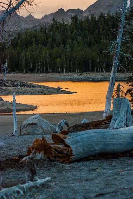 Shutterbug_Chel's tweet card. Find more inspiring images at VIEWBUG - the world’s most rewarding photo community.