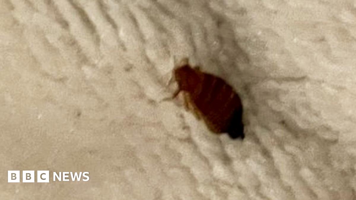 MGPestControl's tweet card. Butlin's says it has strict cleaning policies in place and treatment for preventing bedbugs.