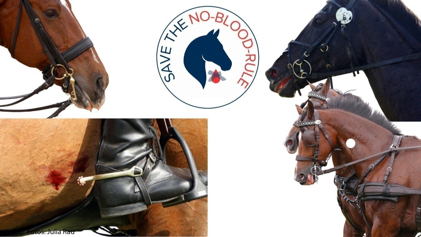 Dimturien's tweet card. Blut am Pferd? Stopp! Save the No-Blood-Rule