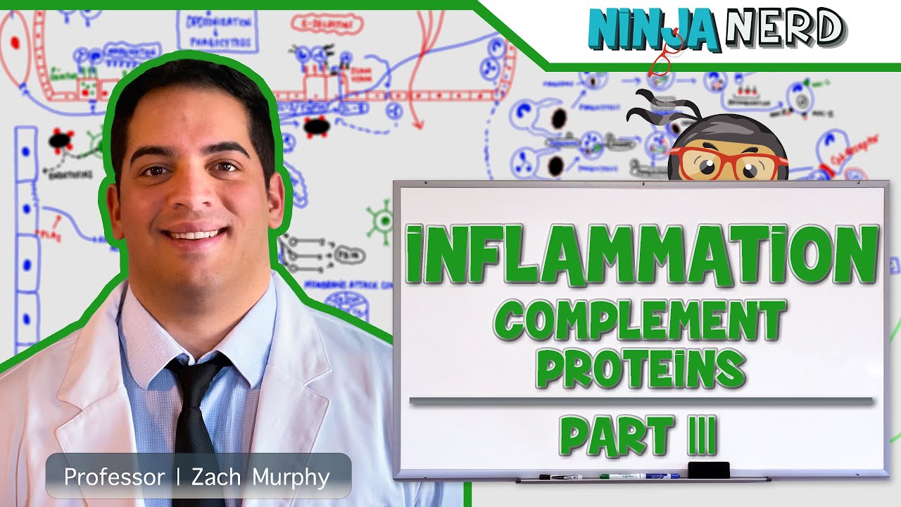aionfork's tweet card. Immunology | Inflammation: Complement Proteins: Part 3