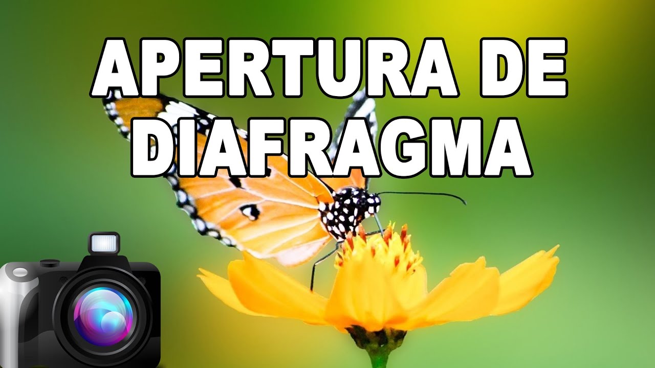 prismatutorial's tweet card. Iniciación a la fotografía (3/4): APERTURA DE DIAFRAGMA - Tutorial de...