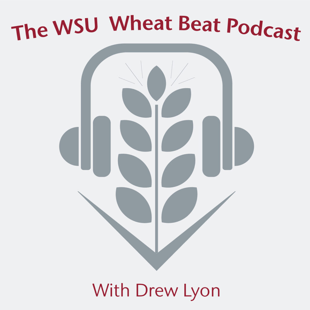 WSUSmallGrains's tweet card. Anita Paneru, WSU Ph.D. candidate, visits the Wheat Beat Podcast to share her research with synthetic microbial communities, artificially designed groups of microorganisms.