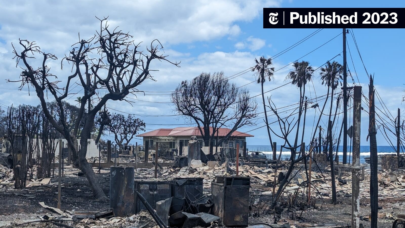 phillipcantor's tweet card. Misattributed videos, recycled lies and warped fears are fueling unfounded claims about the recent record-breaking heat, floods and wildfires.