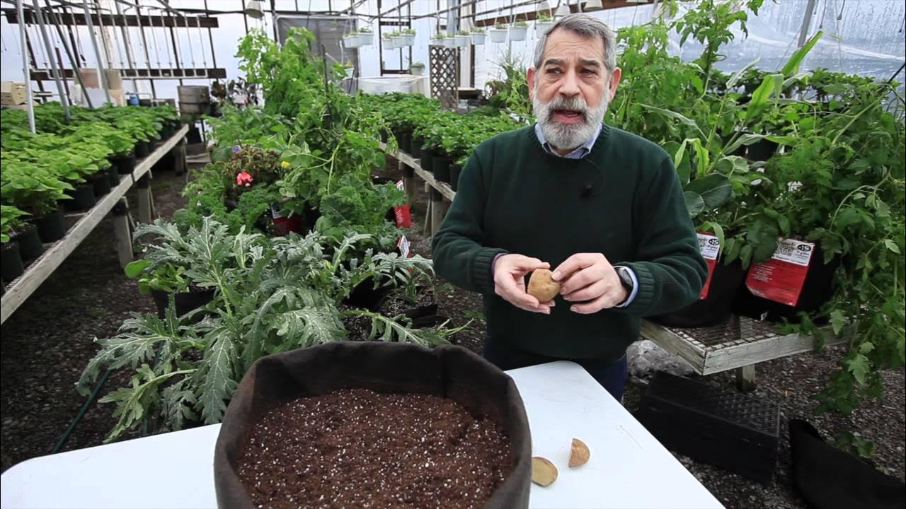 TheLevProject's tweet card. Smart Pots