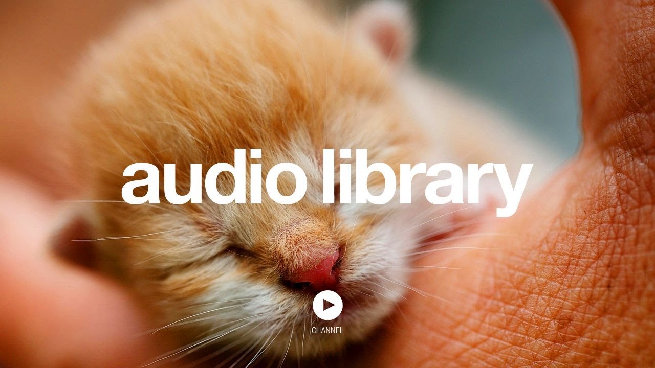 hardykevin2011's tweet card. Good Starts – Jingle Punks (No Copyright Music)