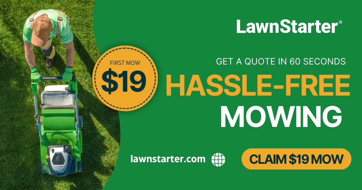 outofsink23's tweet card. Your first service will cost only $19!