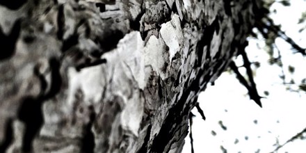 ejnarkanding's tweet card. Listen to Suite Résonance - Air by Ejnar Kanding, George Vassilev.