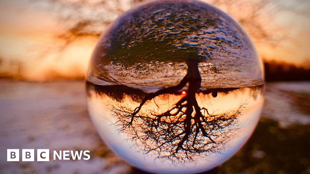 BBCNews's tweet card. A selection of striking images from our readers on this week's theme.