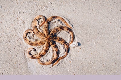 TheObGProject's tweet card. Microarray technology has revolutionized the practice of genetics and is now commonly ordered prenatally and throughout the lifespan.  Structural chromosomal anomalies, once too small to be ‘seen’...