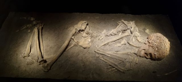 robertosaezm's tweet card. [English version below] La Dama de Cavillon es posiblemente uno de los enterramientos prehistóricos más espectaculares visualmente. Se trata de una mujer que vivió hace unos 24.000 años, en el peri…