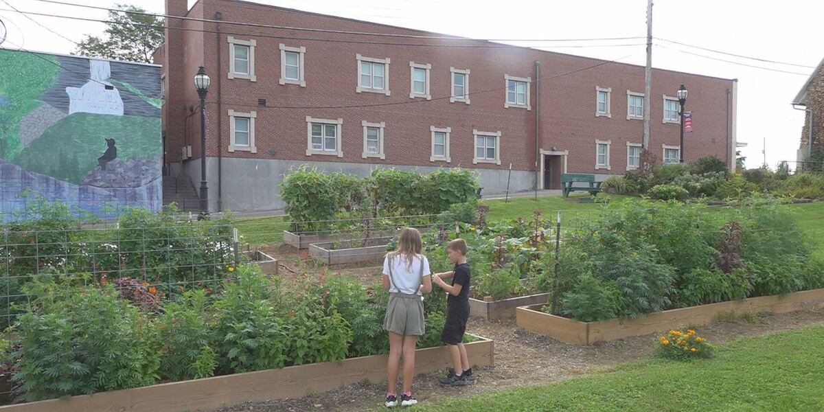 gardenren's tweet card. Grown Here at Home: Giles Community Garden Nourishes Commmunity