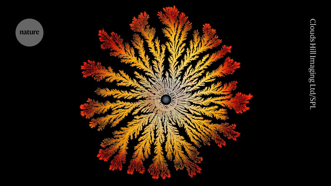 SouravKumarAMR's tweet card. Nature - The molecule targets bacteria in a way that other drugs don’t.