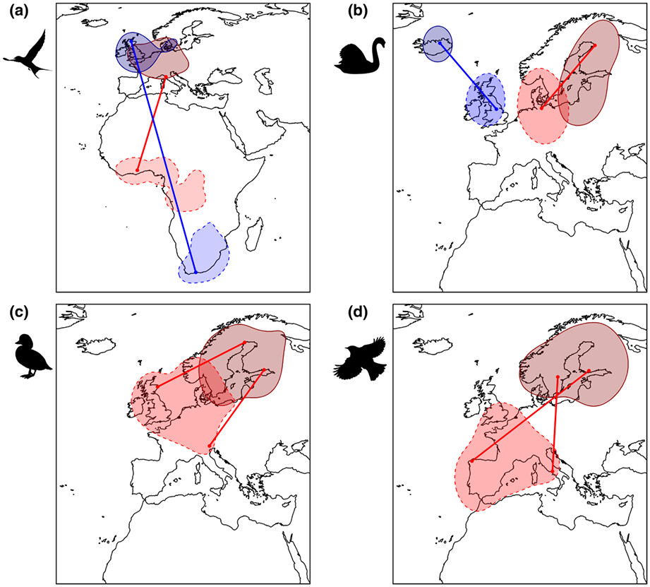 NicFattorini's tweet card. Migratory connectivity, reflecting the extent by which migrants tend to maintain their reciprocal positions in seasonal ranges, can assist in the conservation and management of mobile species. We...