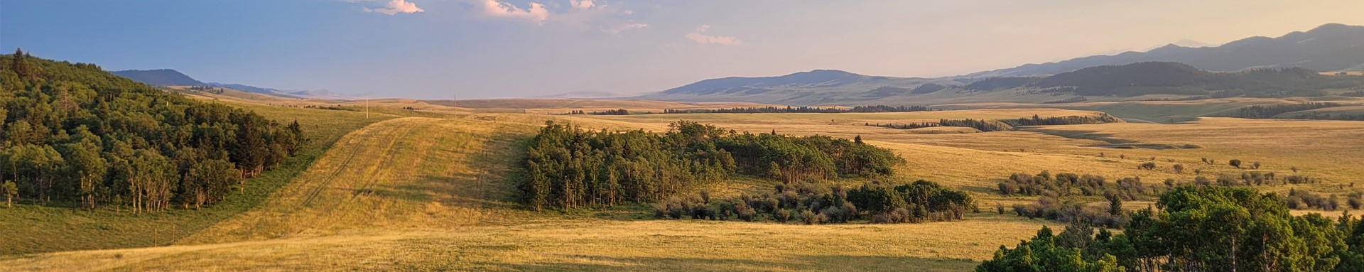 AER_news's tweet card. Today, we released revised Pipeline Rules effective October 29, 2025.